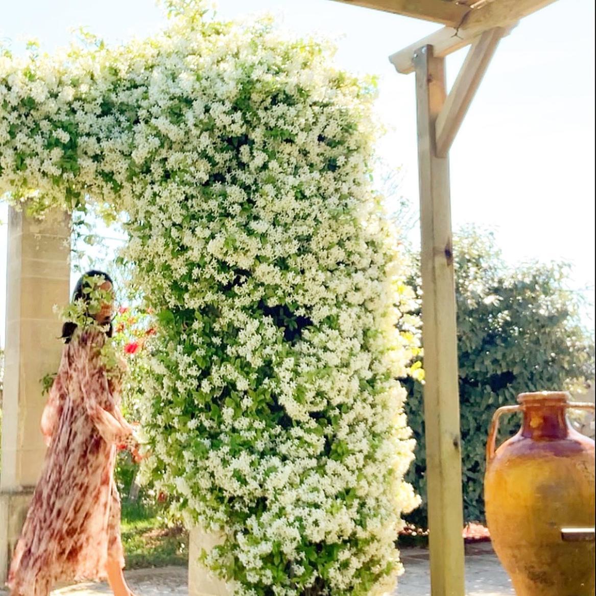 Masseria Vittoria Acaya Eksteriør bilde