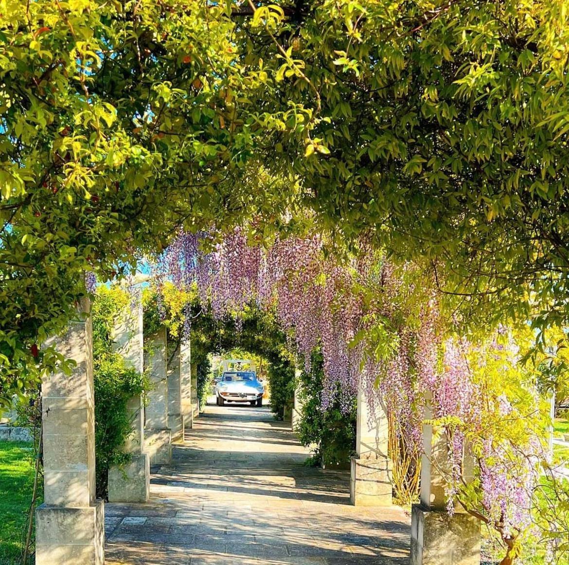 Masseria Vittoria Acaya Eksteriør bilde